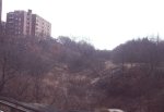 NB (WB) track of the abandoned Rockaway Beach branch going under us.